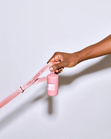 Pet Waste Bag Dispenser