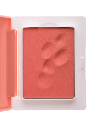 Cloud Paint Plush Blush